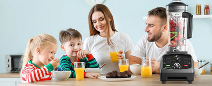 BlendMax PowerBlend 2200 Pro