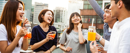 BlendMax PowerBlend 2200 Pro